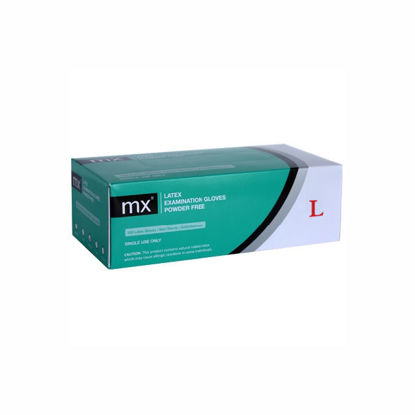 Picture of Latex Gloves Large